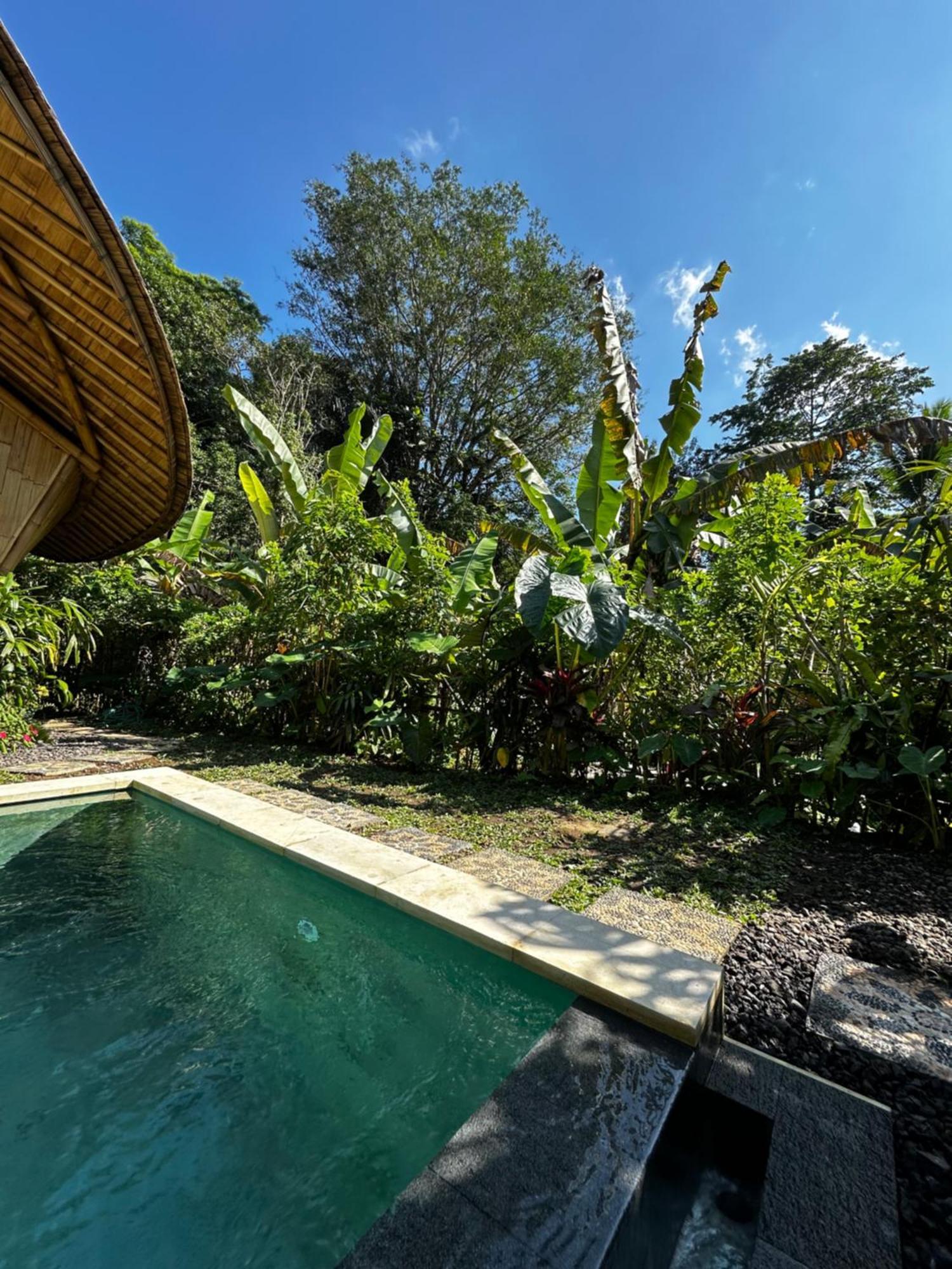 Вілла Bamboo House - Ecobreeze Сідемен Екстер'єр фото