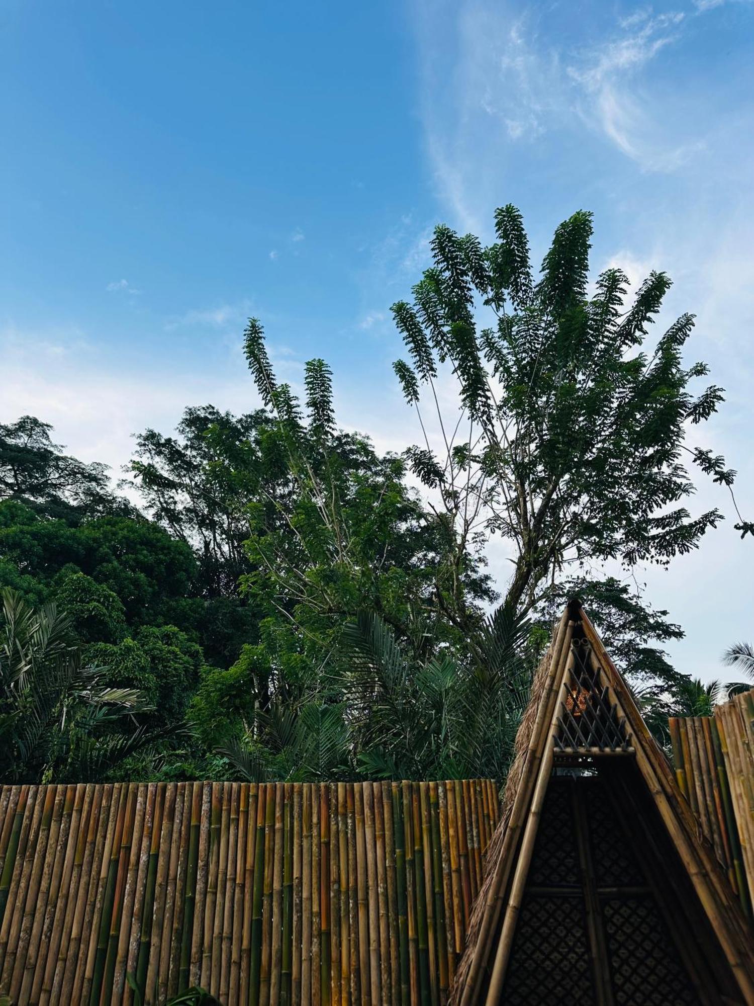 Вілла Bamboo House - Ecobreeze Сідемен Екстер'єр фото